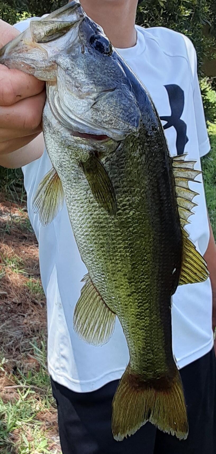 BAYSIDE PH 1 - Residential