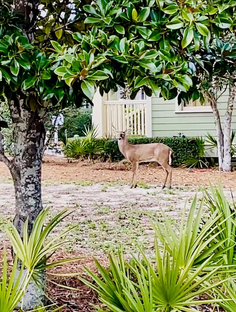 CYPRESS DUNES - Land