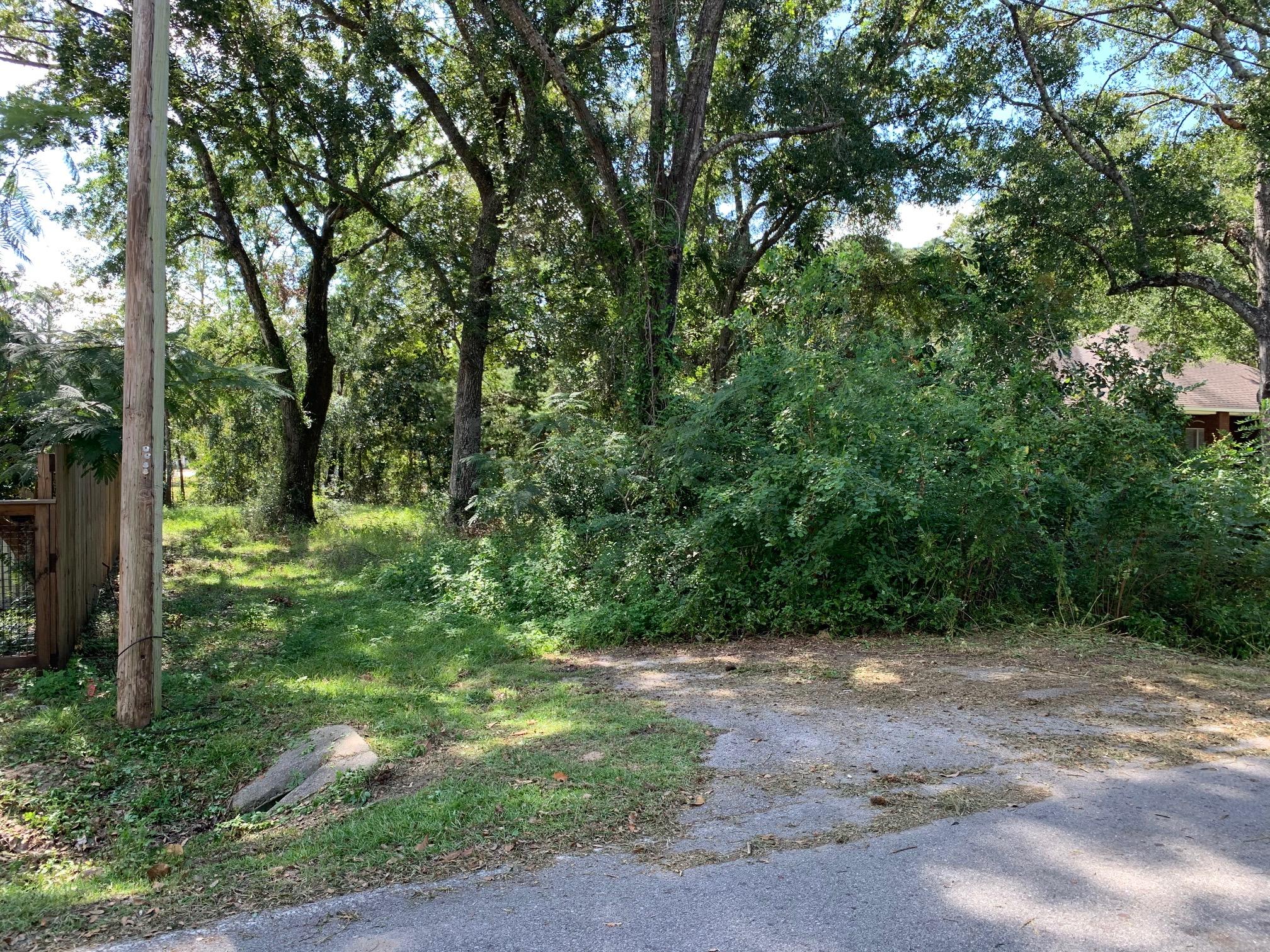Only Waterfront lot for sale in Daughettes! Beautiful wooded lot. Canals are maintained by Walton County, Daughettes Canal MSBU and billed as part of your Walton County Property Tax Bill...last two years it was $650 per year per lot to keep the canal dredged. Daughettes S/D is a neighborhood of full time residents and convenient to everything. Imagine having your boat in your backyard and being able to fish in the Bay or run out to the Gulf!