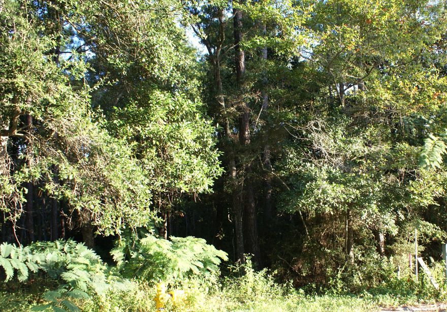 Approximately 4.78 acres. Buildable land in Flood zone X. This property does have some wetlands. Building per Walton County DEP flood zone X. Verify all information. This property is part of a large tract of land being subdivided into 2 parcels. See other listing for Lot D.