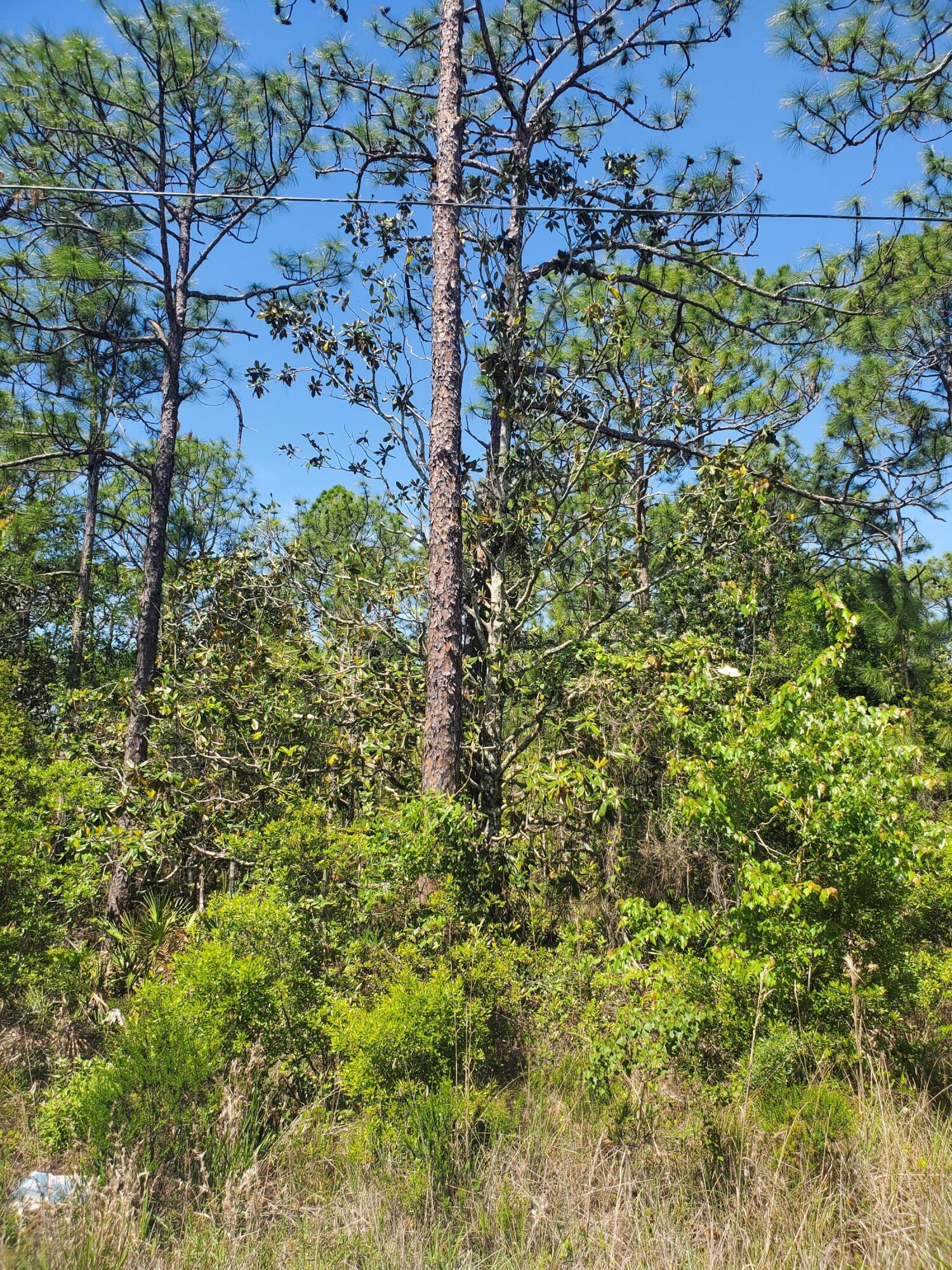 Vacant Lot right in the center of Santa Rosa Beach. Conveniently located close to all 30A restaurants, shopping and the beautiful white sandy beaches. There are nearby hiking trails and parks that have boat access for you to enjoy. This area is growing fast and you don't want to miss out on investing or building your dream home. Interested parties should perform due diligence to verify information, measurements, and all pertinent information deemed necessary.