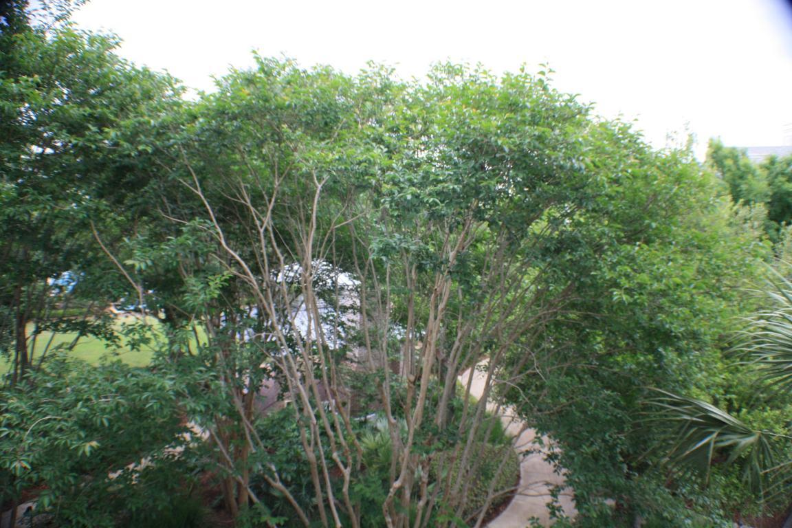 OBSERVATION POINT - Residential Lease