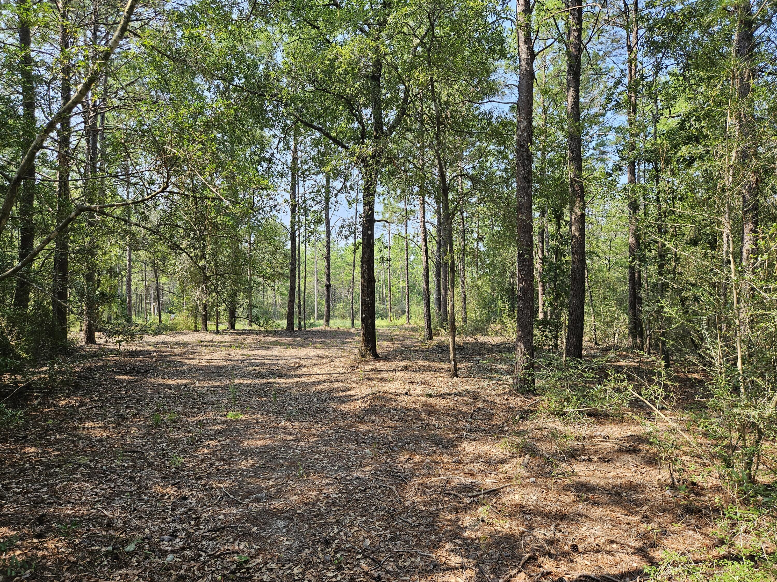 CHERRY HILL UNIT 1 - Land