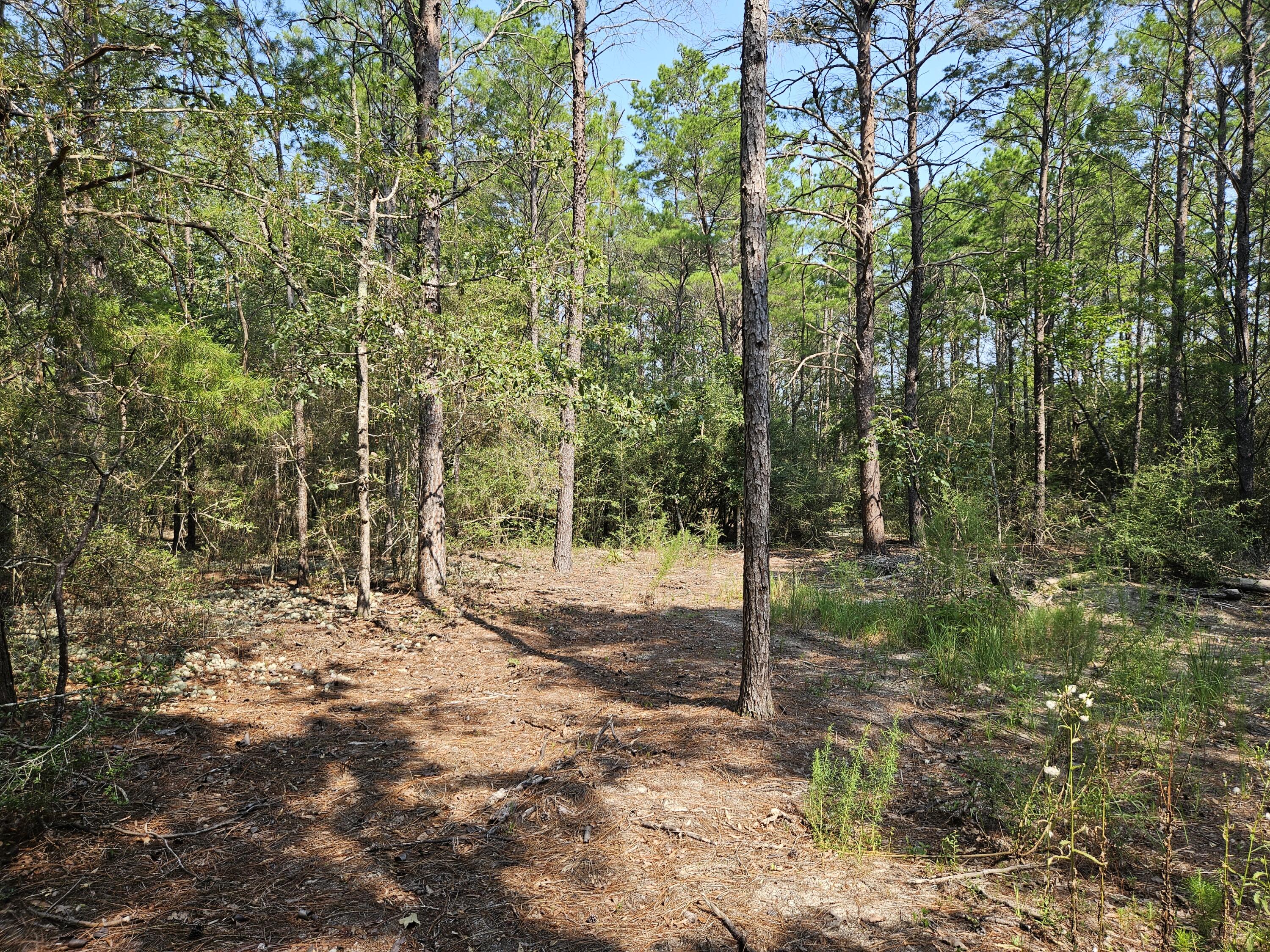 CHERRY HILL UNIT 1 - Land