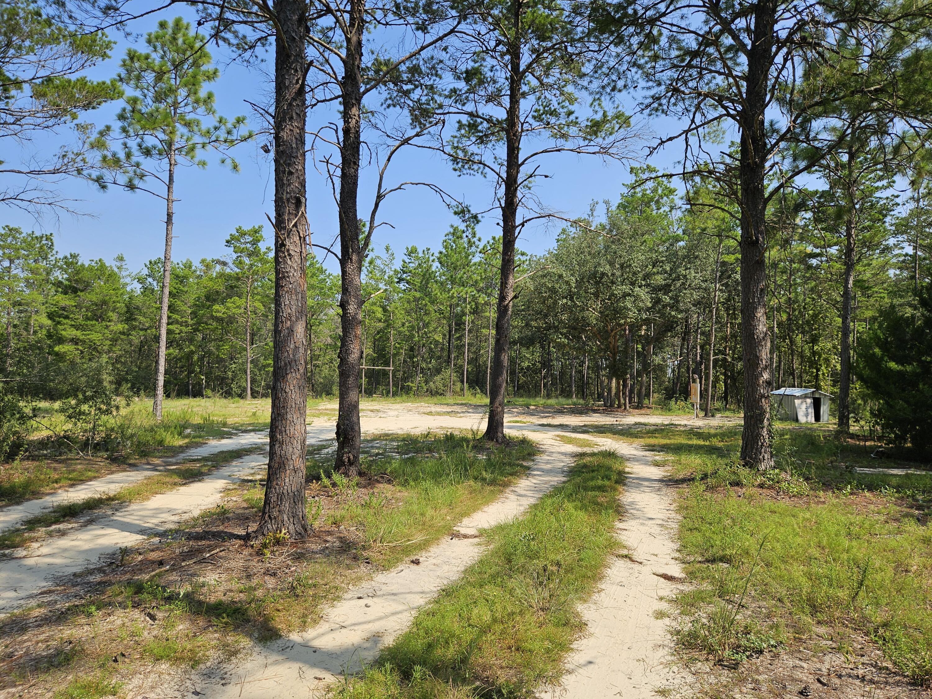 Peaceful and pretty 5 acre tract with power and well in place and off a paved road in growing Walton county. Less than 5 miles from Hwy 285 and Interstate 10 for any commutes to the south end of the county and the white sandy beaches and emerald waters of the Gulf of Mexico. Parcel is 100% flood zone X with the majority being level and plenty of room for a private homesite. Nice mature timber throughout the parcel. Come and take a look and you won't be disappointed!