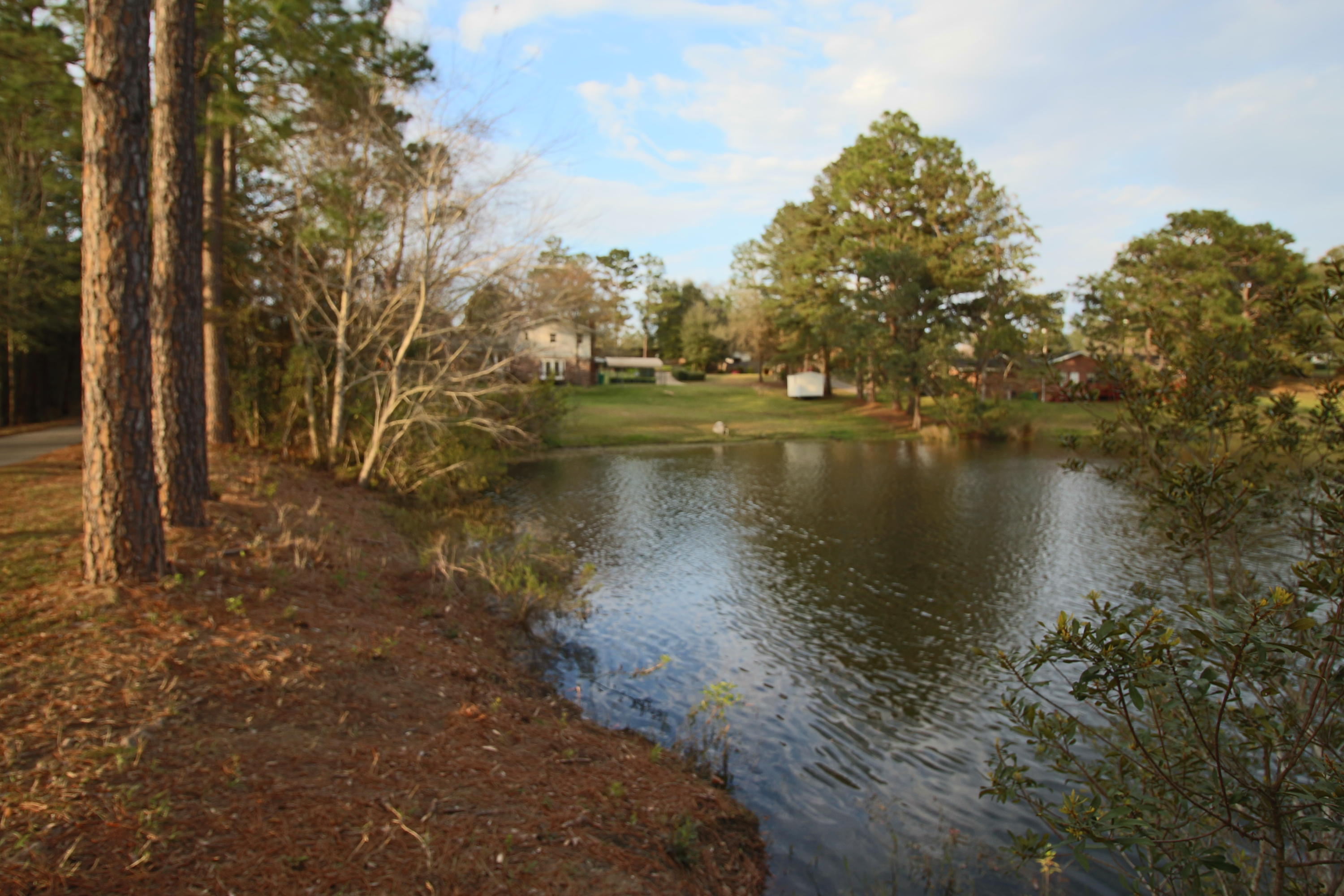 DEL CERRO VISTA 1ST ADDN - Residential