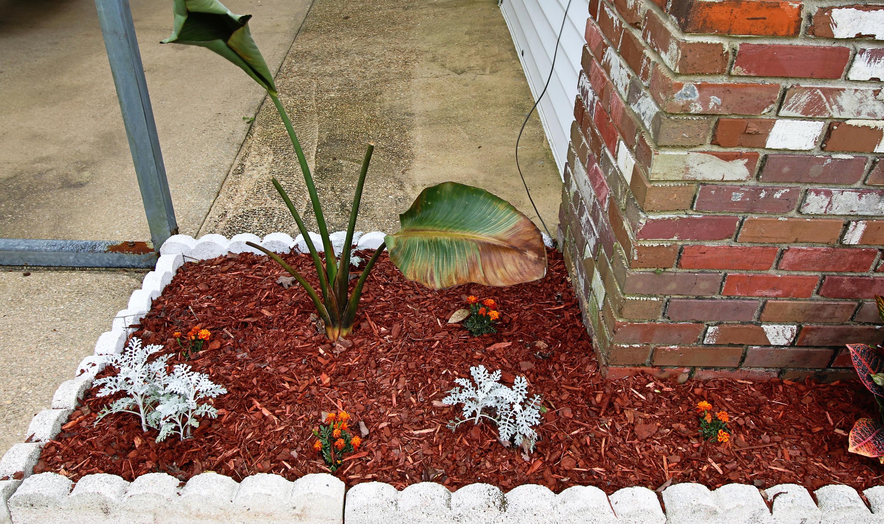 DEL CERRO VISTA 1ST ADDN - Residential