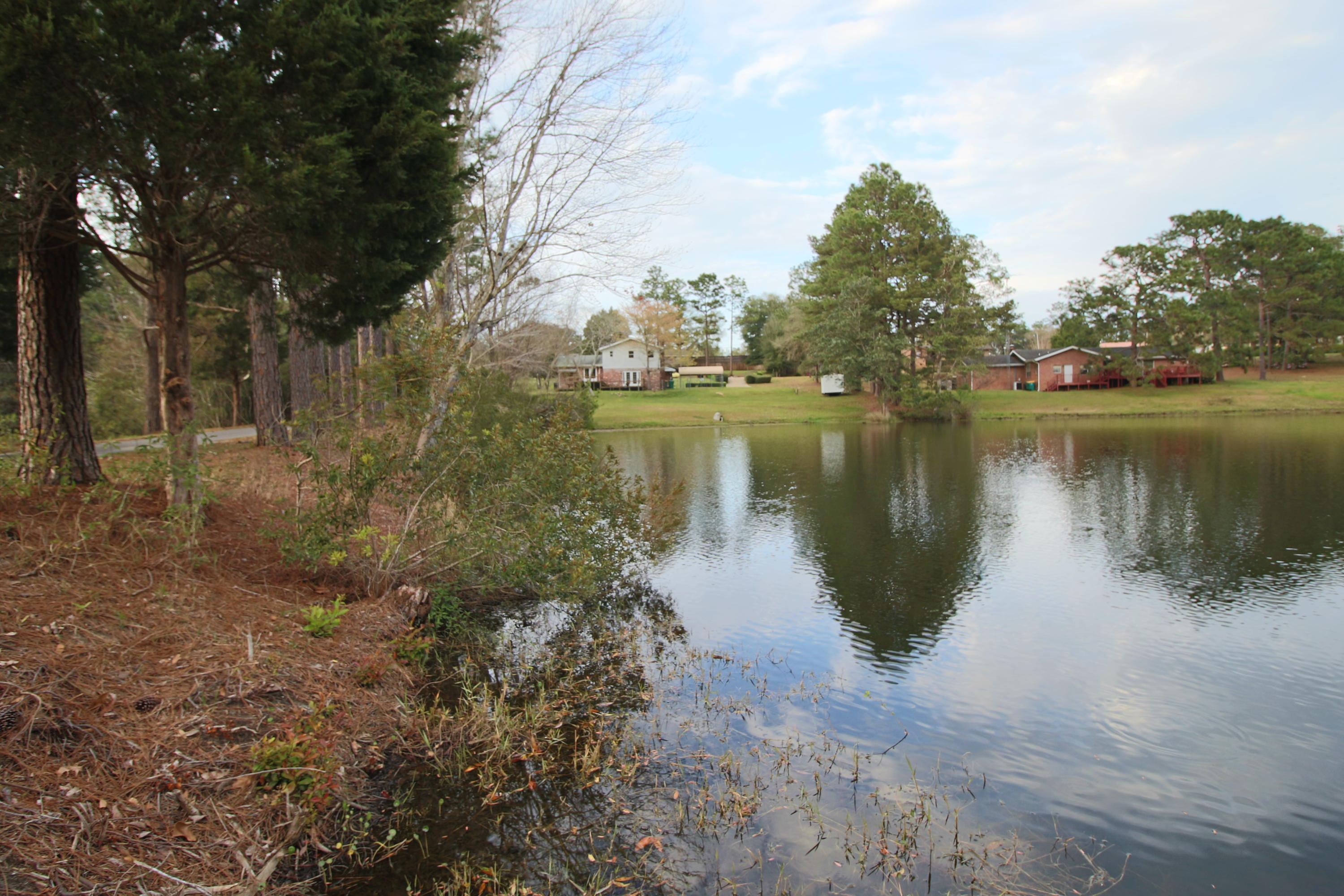 DEL CERRO VISTA 1ST ADDN - Residential