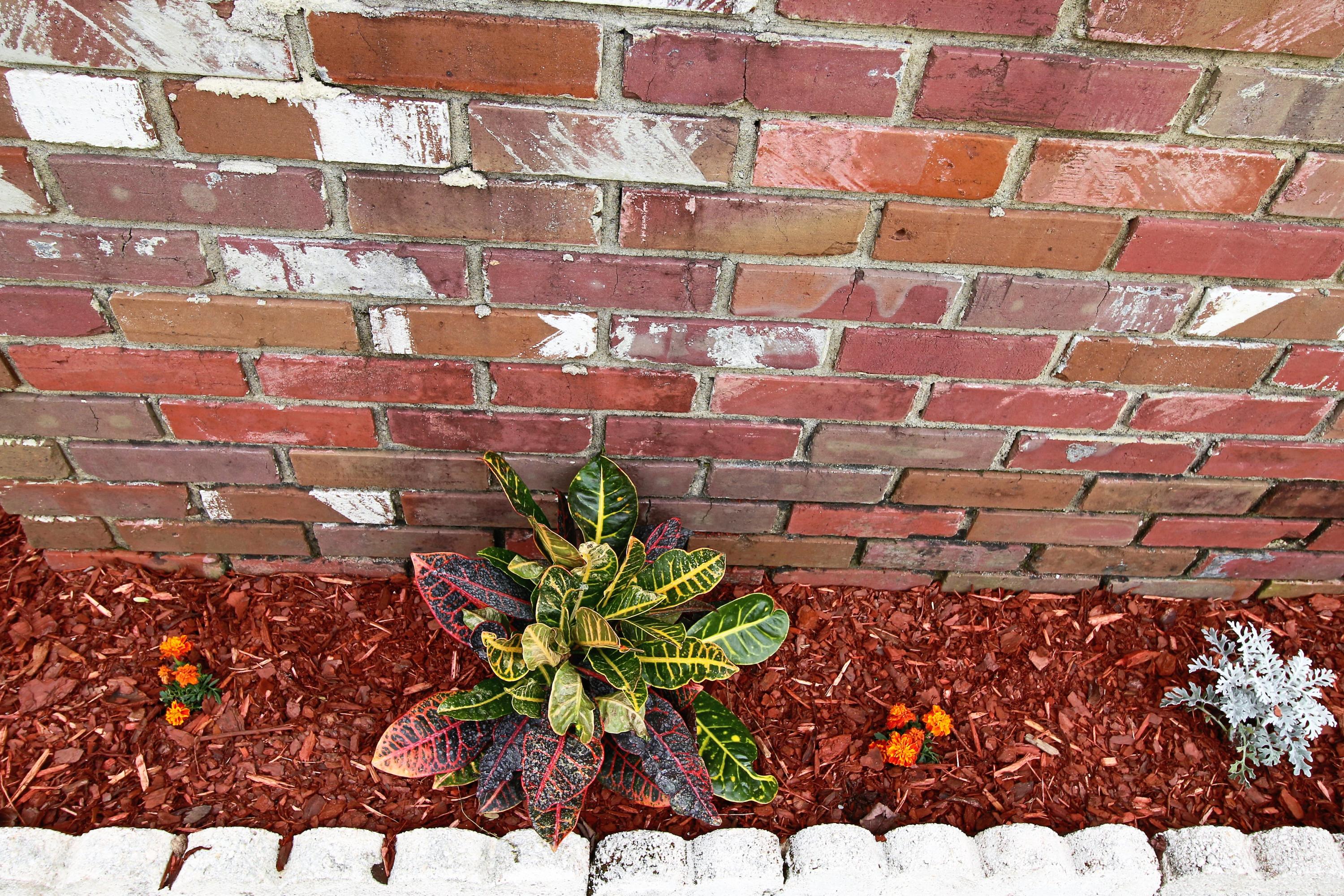 DEL CERRO VISTA 1ST ADDN - Residential