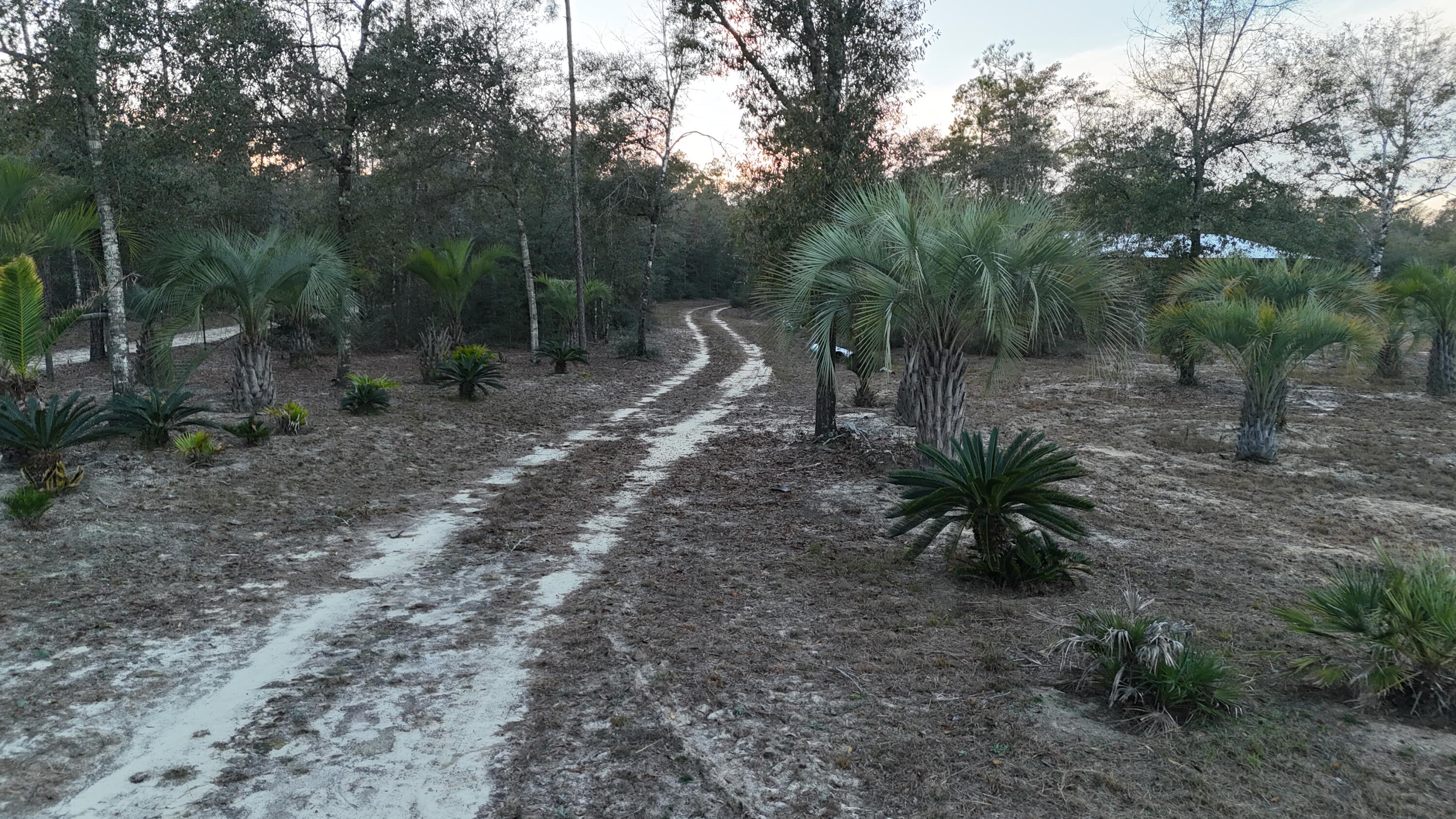 METES & BOUNDS - Land