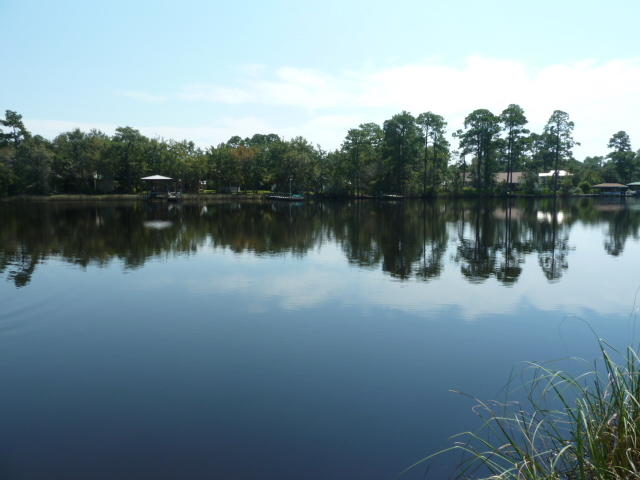 Beautiful waterfront lot ready for your dream home. The dock is ready for bayou fishing and relaxing. Watch dolphins play and osprey and eagles soar from this deep water, wooded lot. Quick access to the bay and to all the amenities South Walton has to offer. Adjoining lot is available and would provide you with an acre of bayou front. See mls 746968