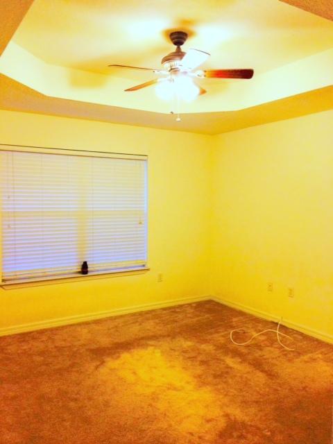 PINES THE - Residential Lease