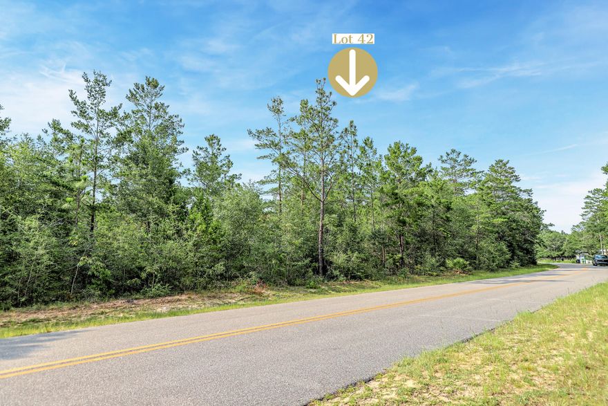 Fantastic Location with No HOA Fees! Ideal for building your dream home or setting up a mobile home. This vacant wooded lot spans 0.38 acres and offers convenient access to major highways such as I-10, 331, and HWY 90. It is located just 0.6 miles away from HWY 90 and less than 7 miles from hardware and grocery stores, schools, downtown, and the captivating historic Lake of Defuniak. Nature enthusiasts will be thrilled to discover the abundance of outdoor activities nearby, including fishing, golfing, national parks, and the stunning beaches of the Emerald Coast. Additionally, this property is situated near popular cities like Niceville, Crestview, Destin Florida, 30A/Seaside, and Panama City Beach. Adjacent lot #41, is also available for sale MLS #926832

There are NO utilities in place. POWER: Available in the area. WATER: It would be public water. SEWER: It would be Septic. 

Claim your piece of Florida land! 

Gps location:

https://goo.gl/maps/tXL5e7wXvEmUsCe79