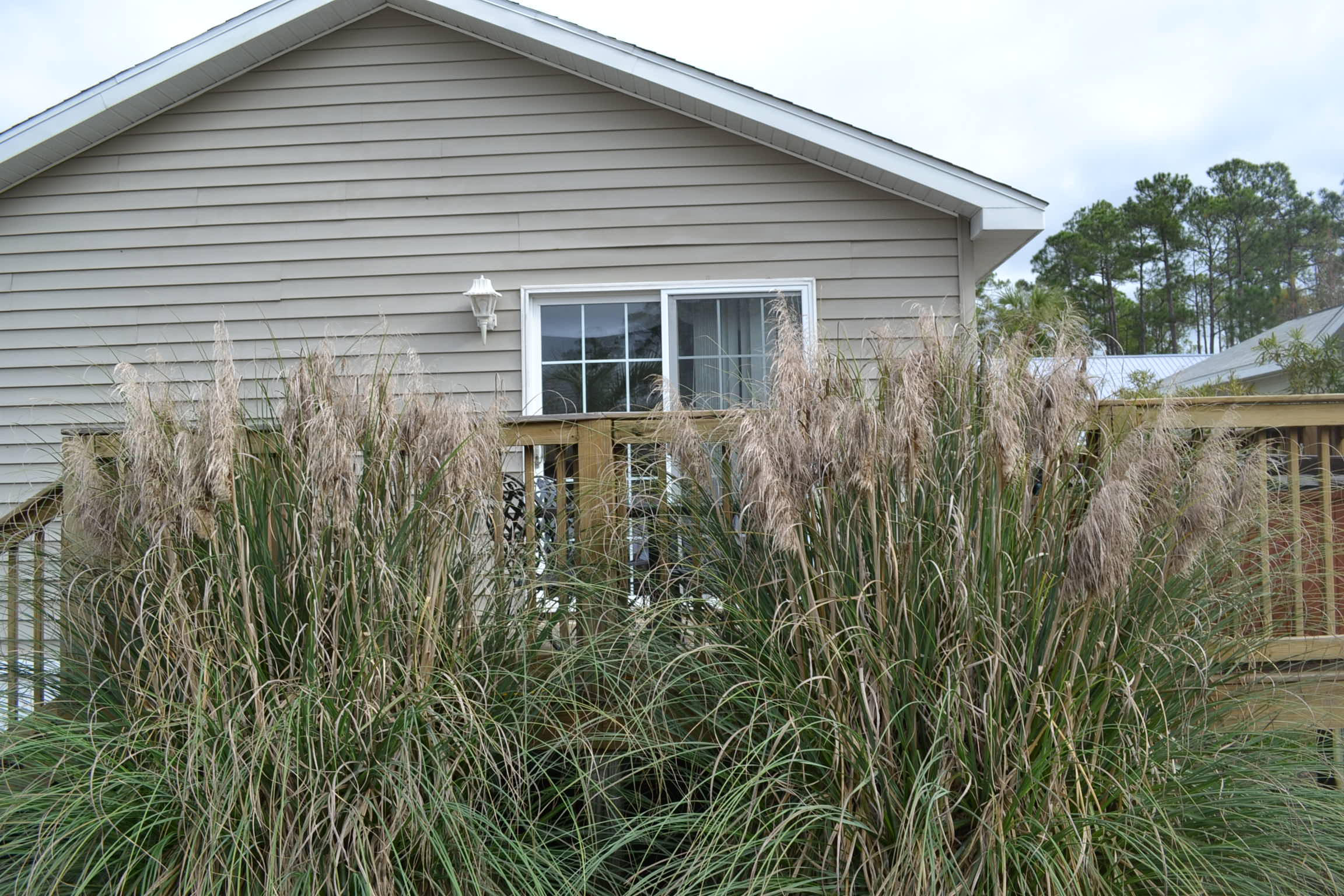 PALMETTO PLANTATION - Residential