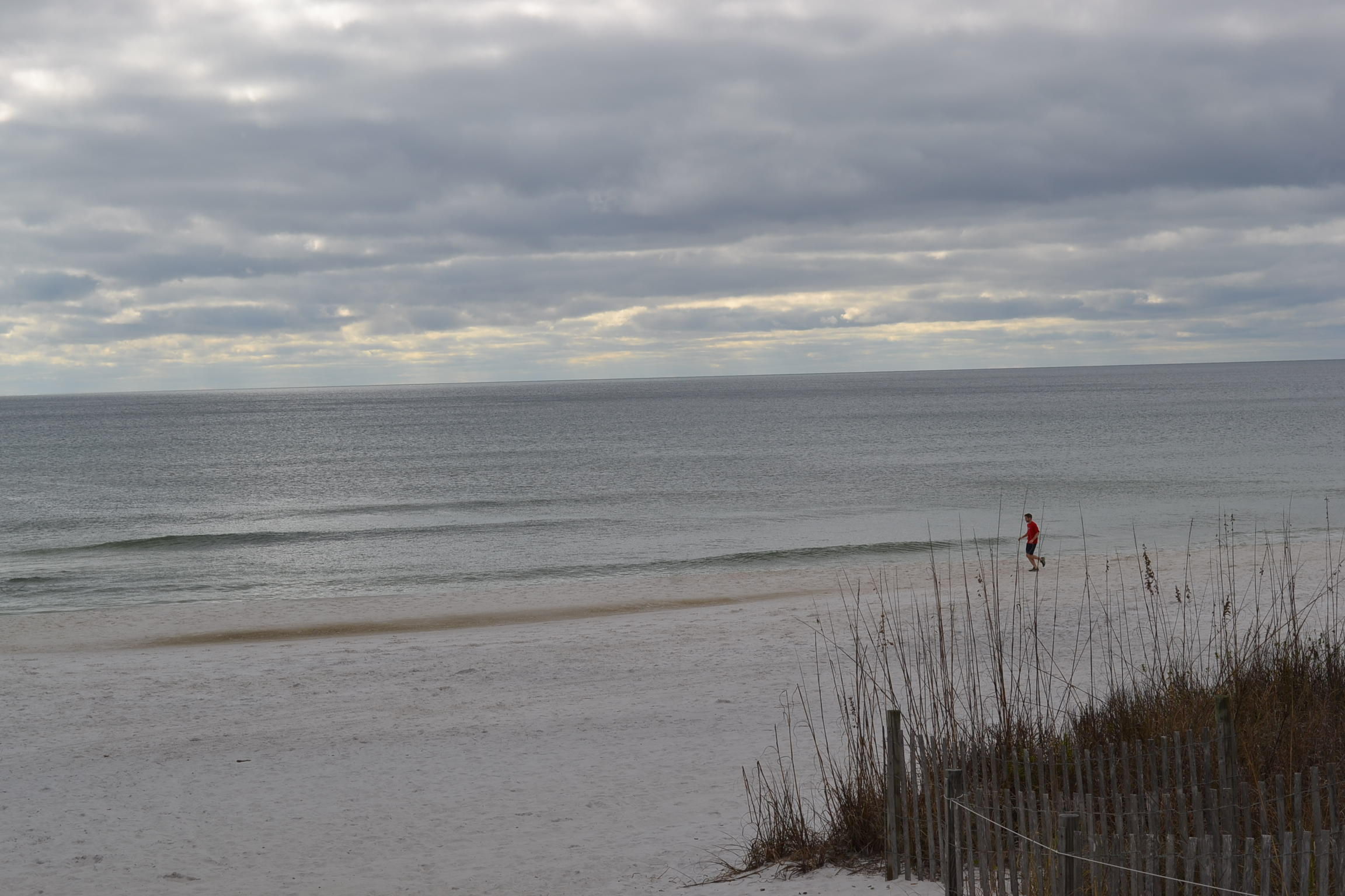 PALMETTO PLANTATION - Residential