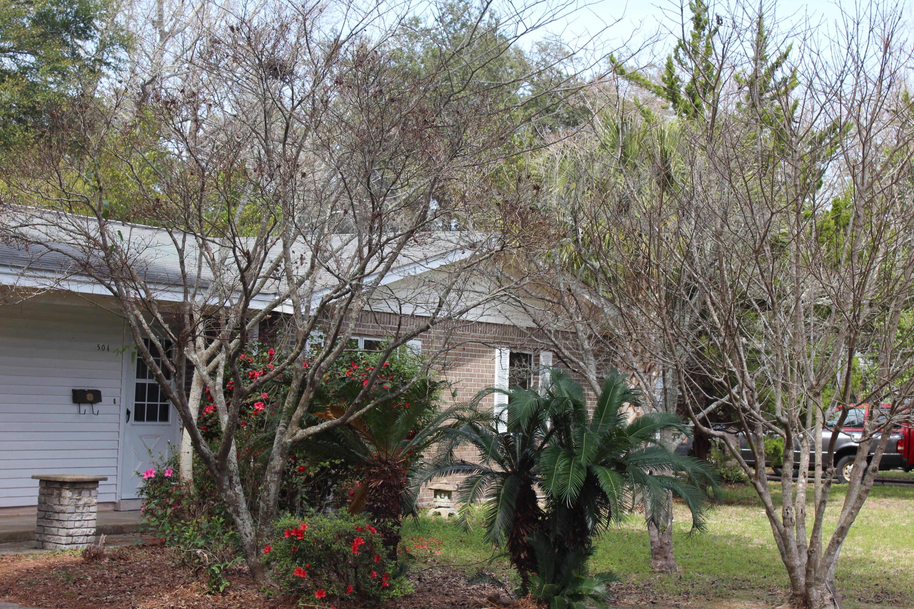 MIDPINES - Residential