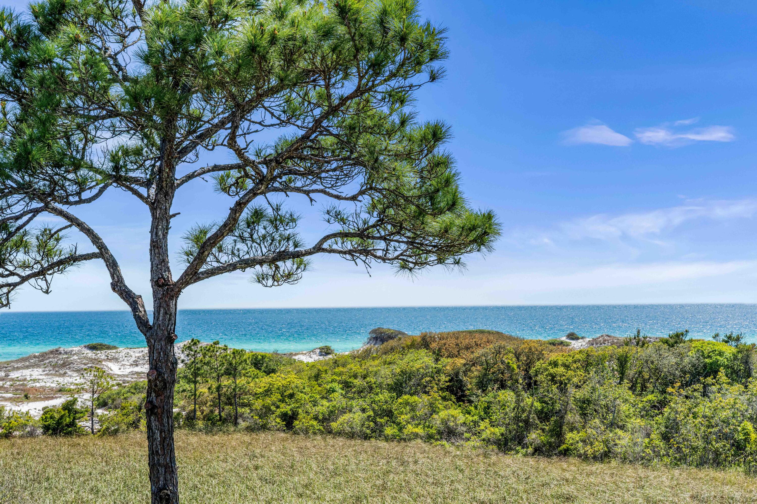 WATERSOUND BEACH - Residential