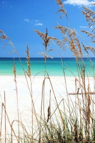 PALMETTO PLANTATION - Residential