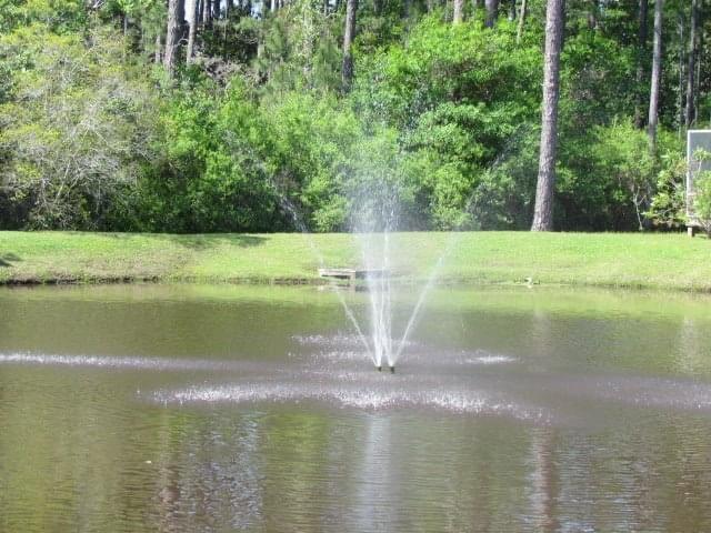 PALMETTO PLANTATION - Residential