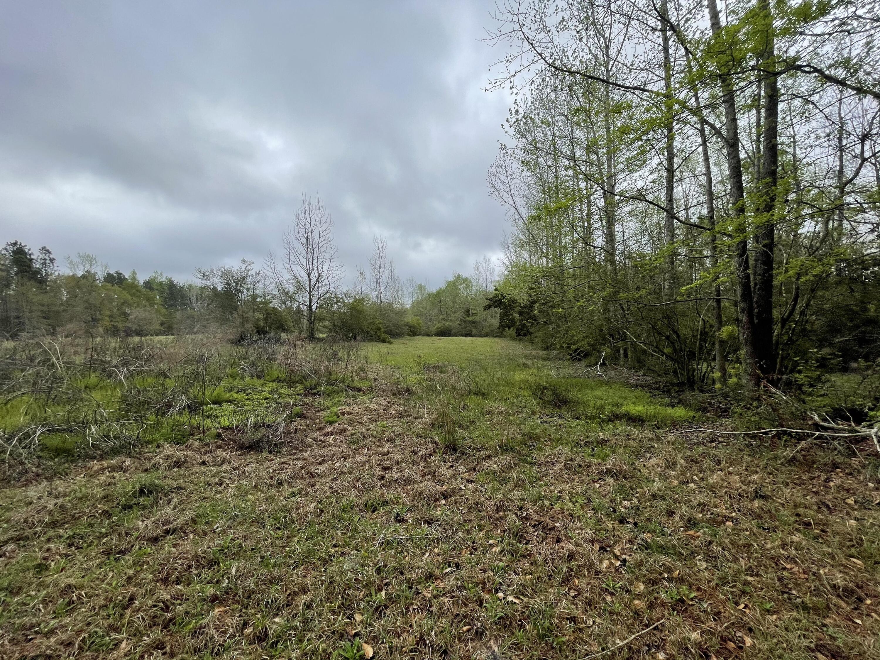 CROPLAND CLASS 2 (5200) - Land