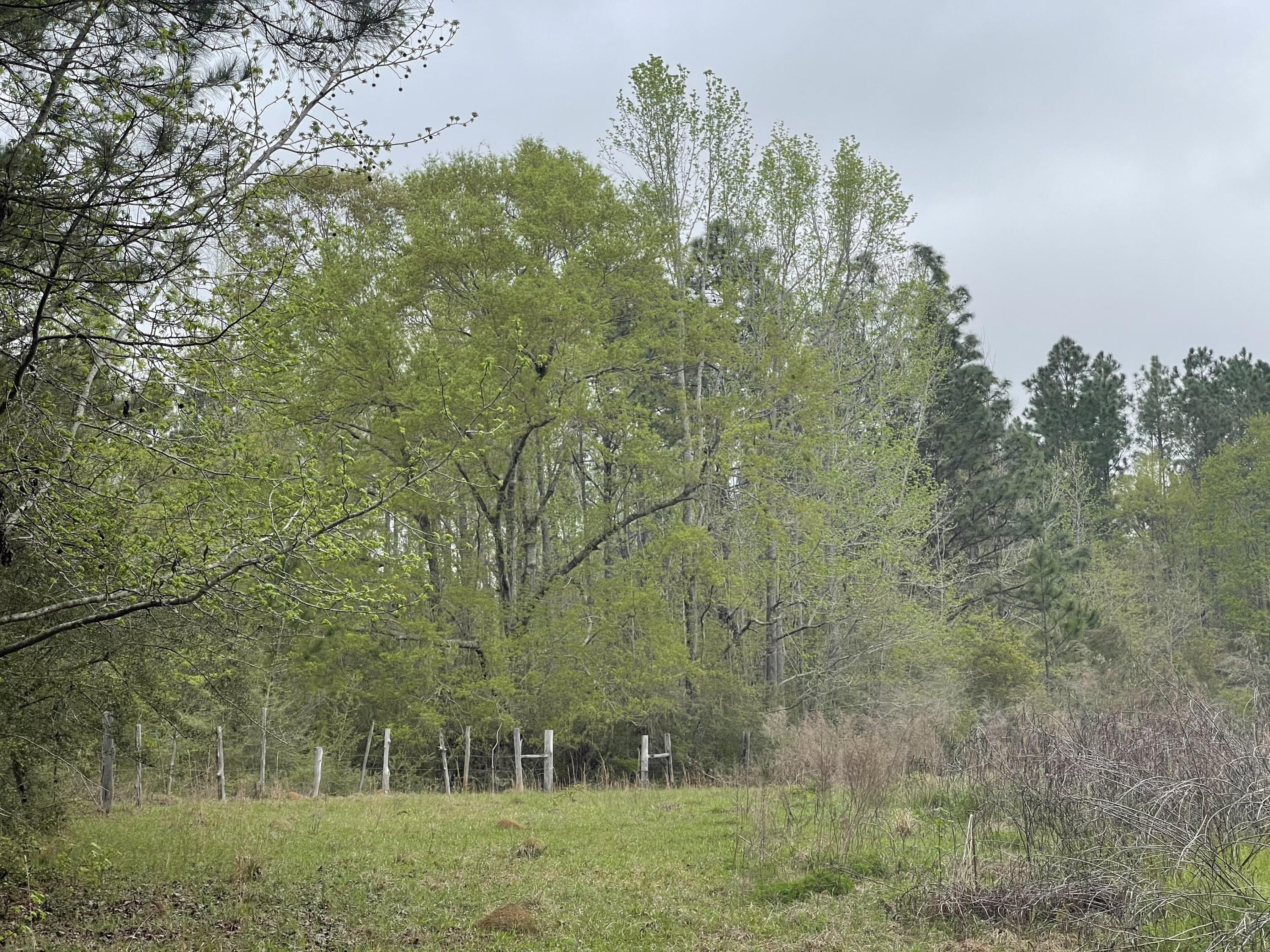 Bring your floor plans and four wheelers! This property is located near Blackwater River with no restrictions or HOA fees. Hop on your horse or bike and ride down for a fun day at the river. This tucked away lot is very peaceful and there's plenty of room to grow.