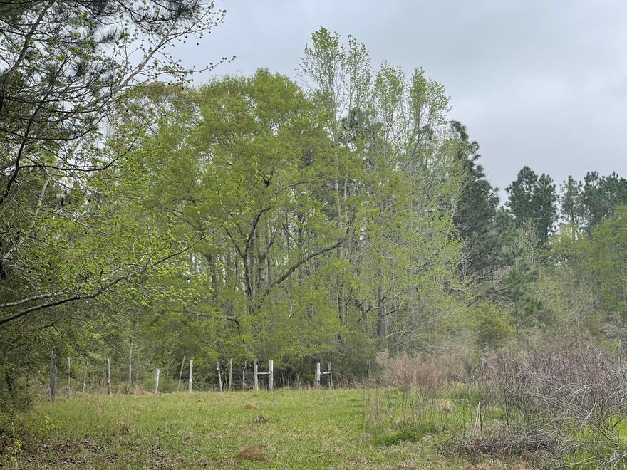 Bring your floor plans and four wheelers! This property is located near Blackwater River with no restrictions or HOA fees. Hop on your horse or bike and ride down for a fun day at the river. This tucked away lot is very peaceful and there's plenty of room to grow.
