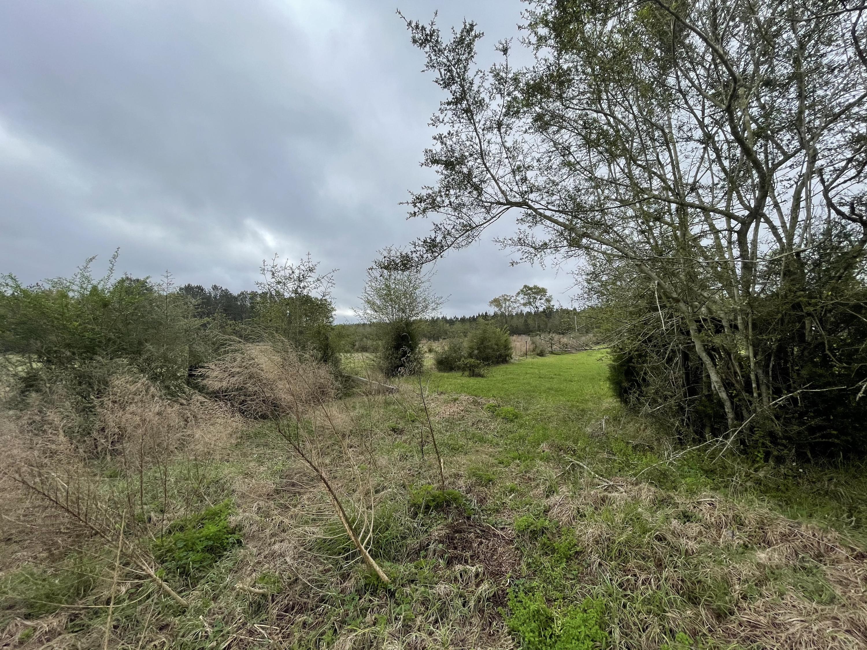 CROPLAND CLASS 2 (5200) - Land