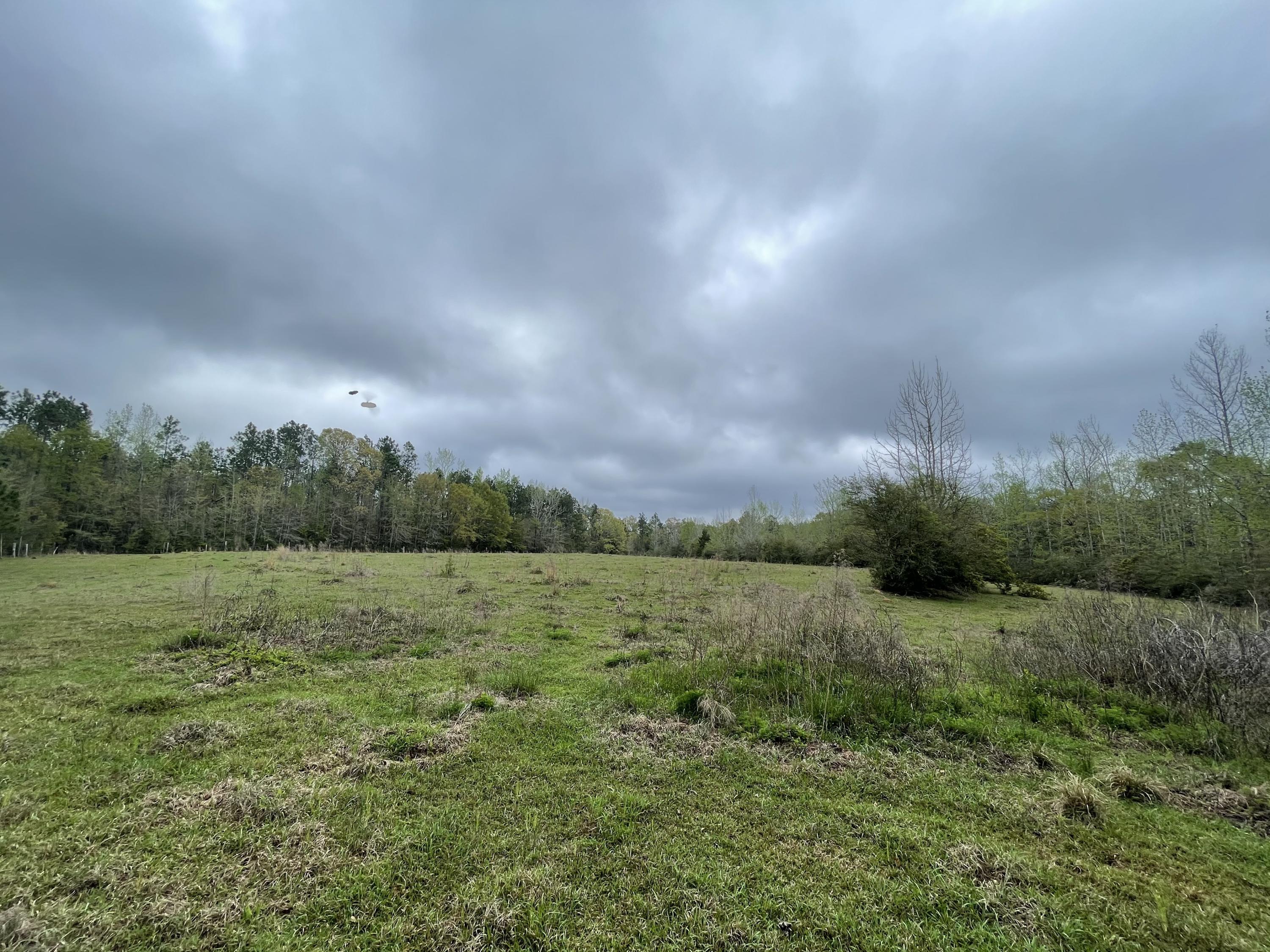 CROPLAND CLASS 2 (5200) - Land