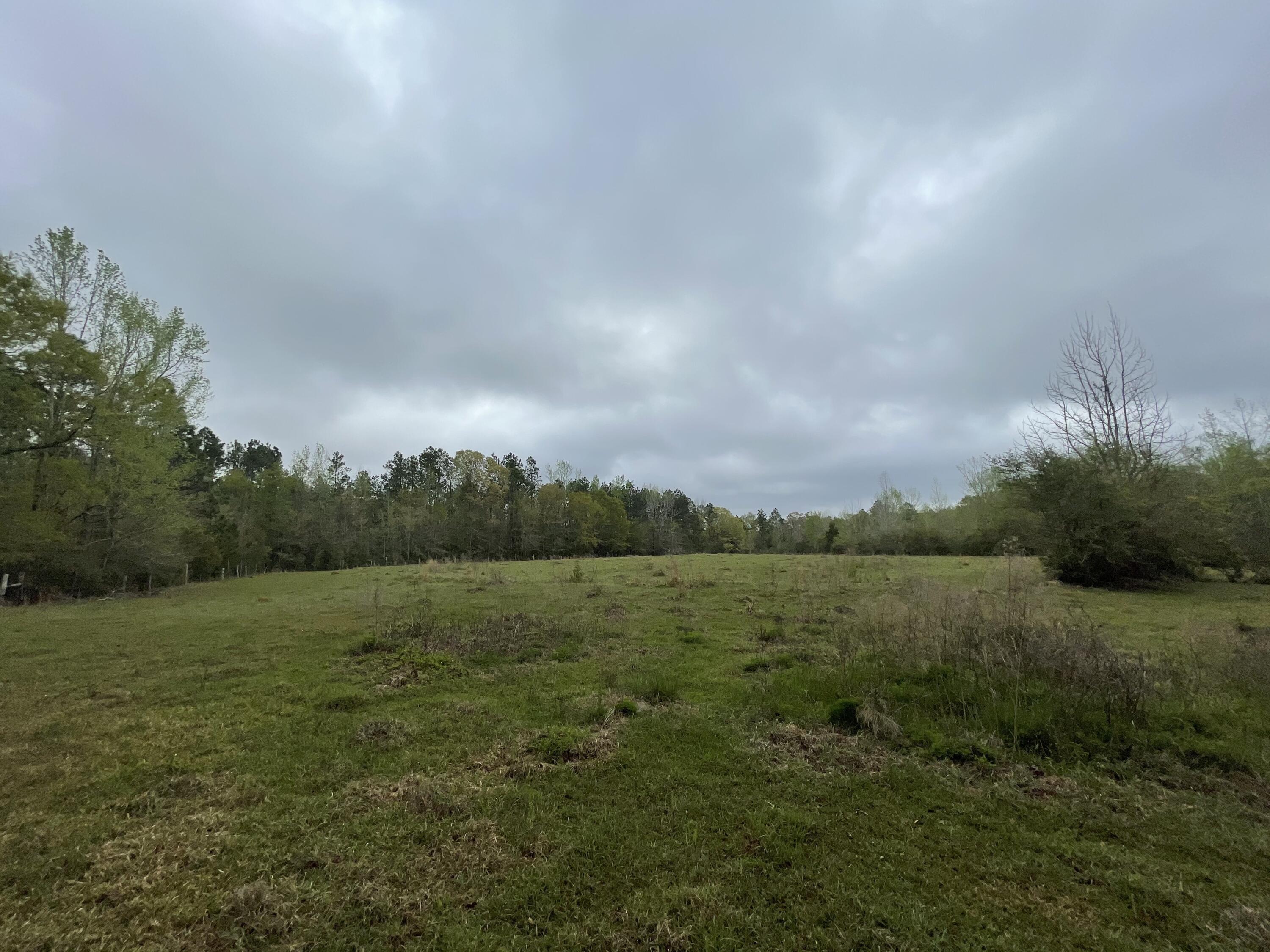 CROPLAND CLASS 2 (5200) - Land