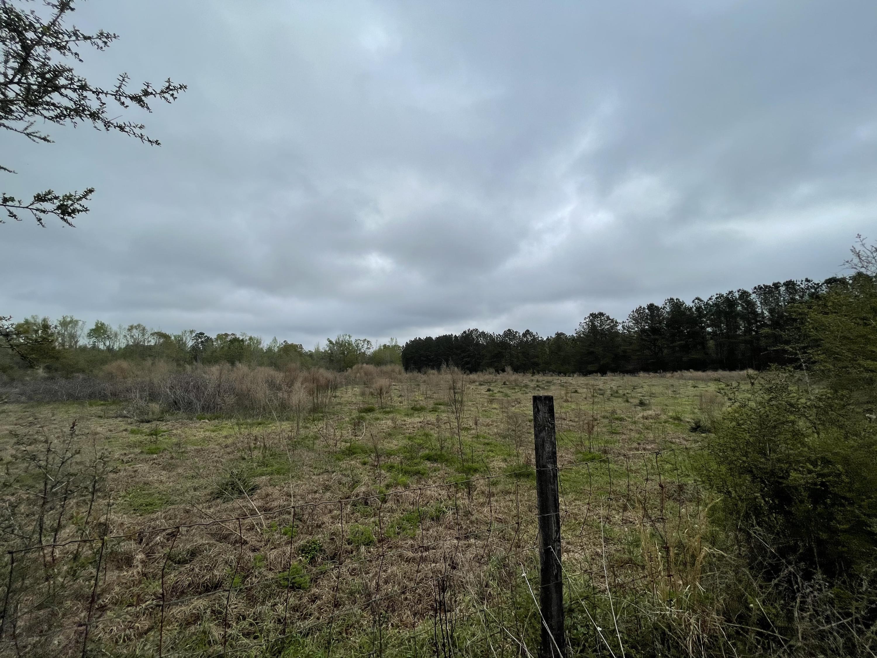 CROPLAND CLASS 2 (5200) - Land