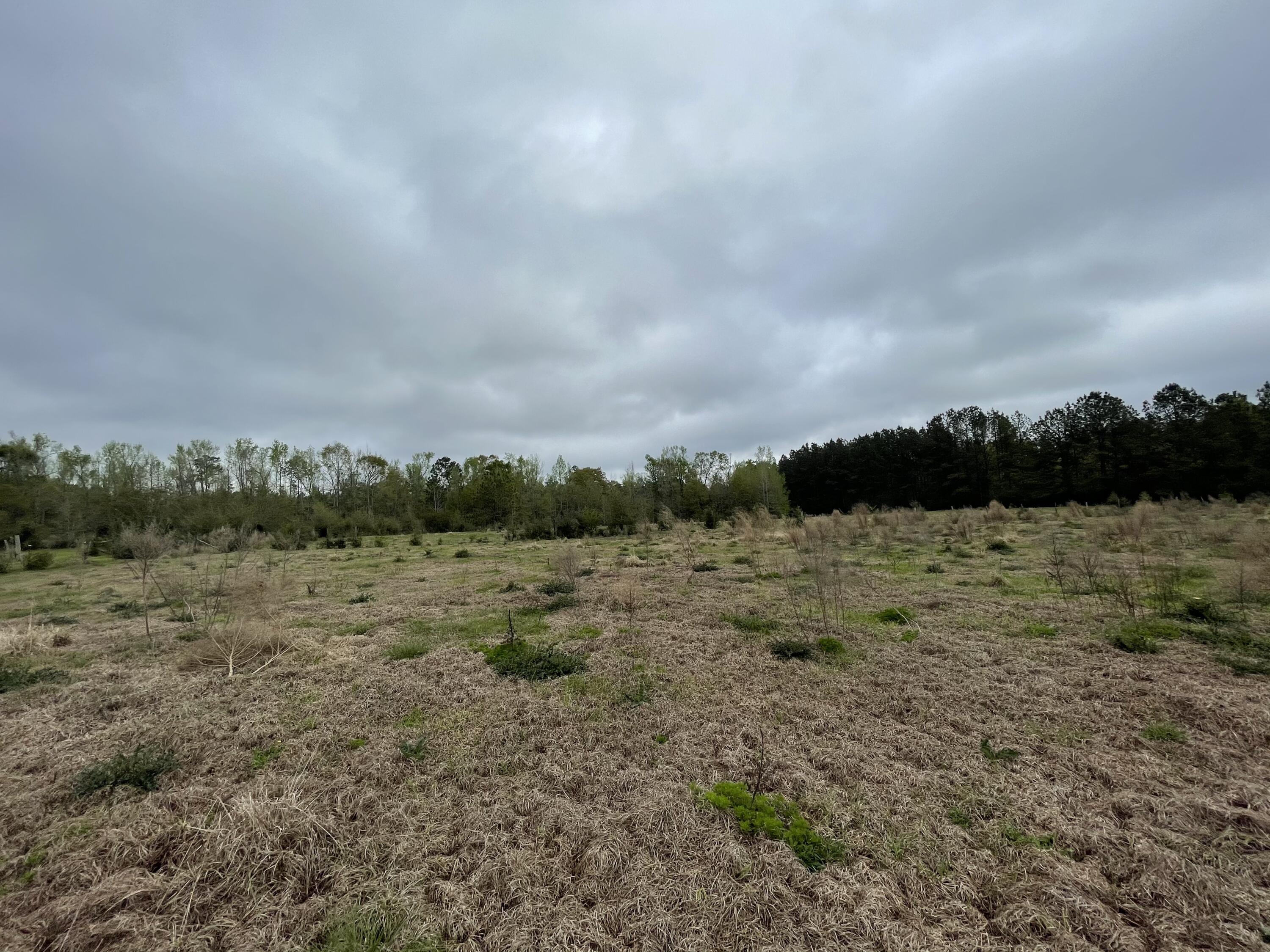 CROPLAND CLASS 2 (5200) - Land