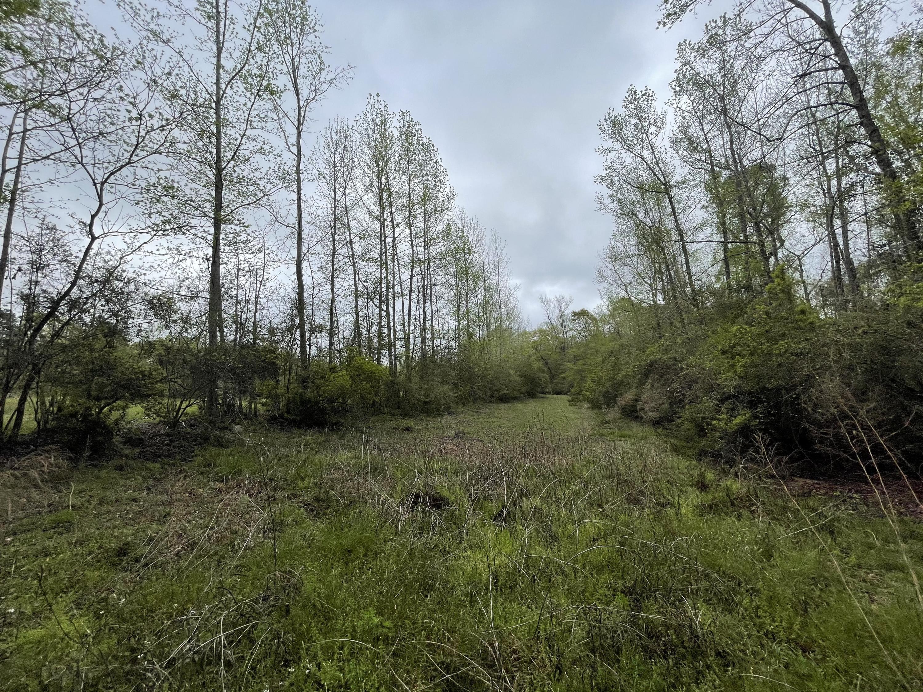 CROPLAND CLASS 2 (5200) - Land