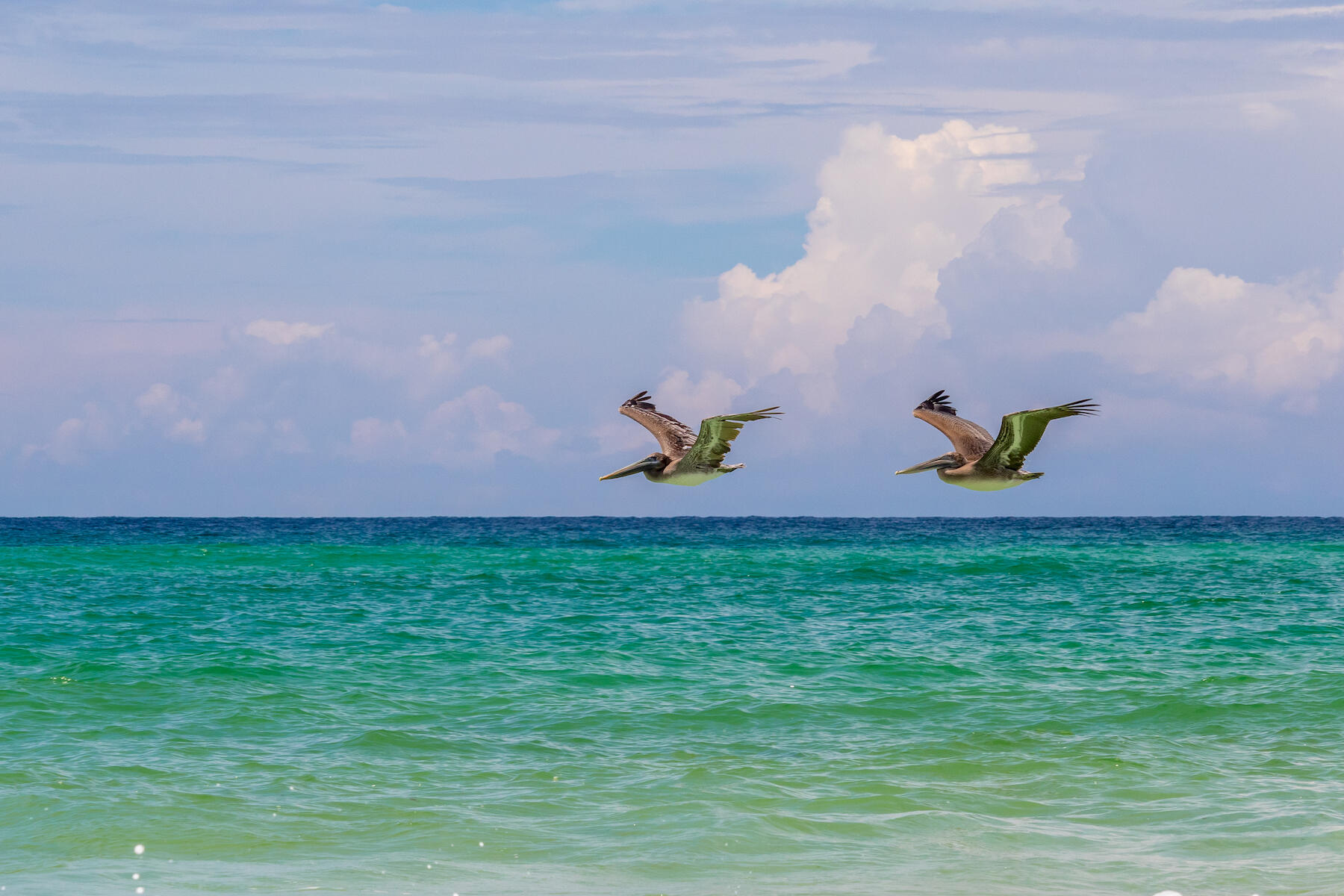 CYPRESS BREEZE PLANTATION - Land