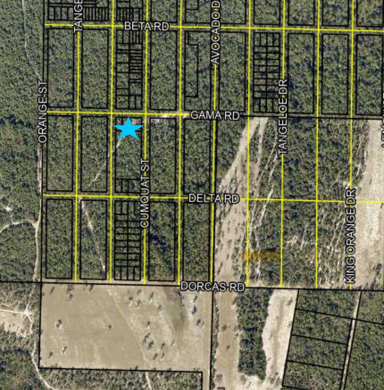 Get in early as the city and county properties expand out to this area! Country living with level usable land! Build your dream home! Now is the right time to invest! County roadways area there but roads are not cleared to property. Small pine trees cover whole property and access roads. No water or power to lot. Buyer's to make their own inquiries to county and authorities regarding development