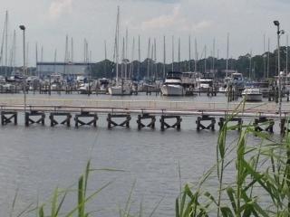 Single Home - Residential