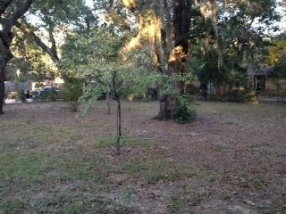 Single Home - Residential