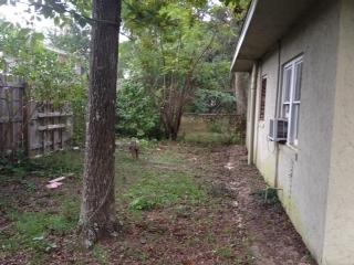 Single Home - Residential