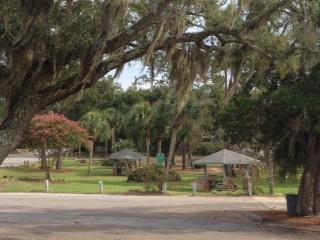 Single Home - Residential