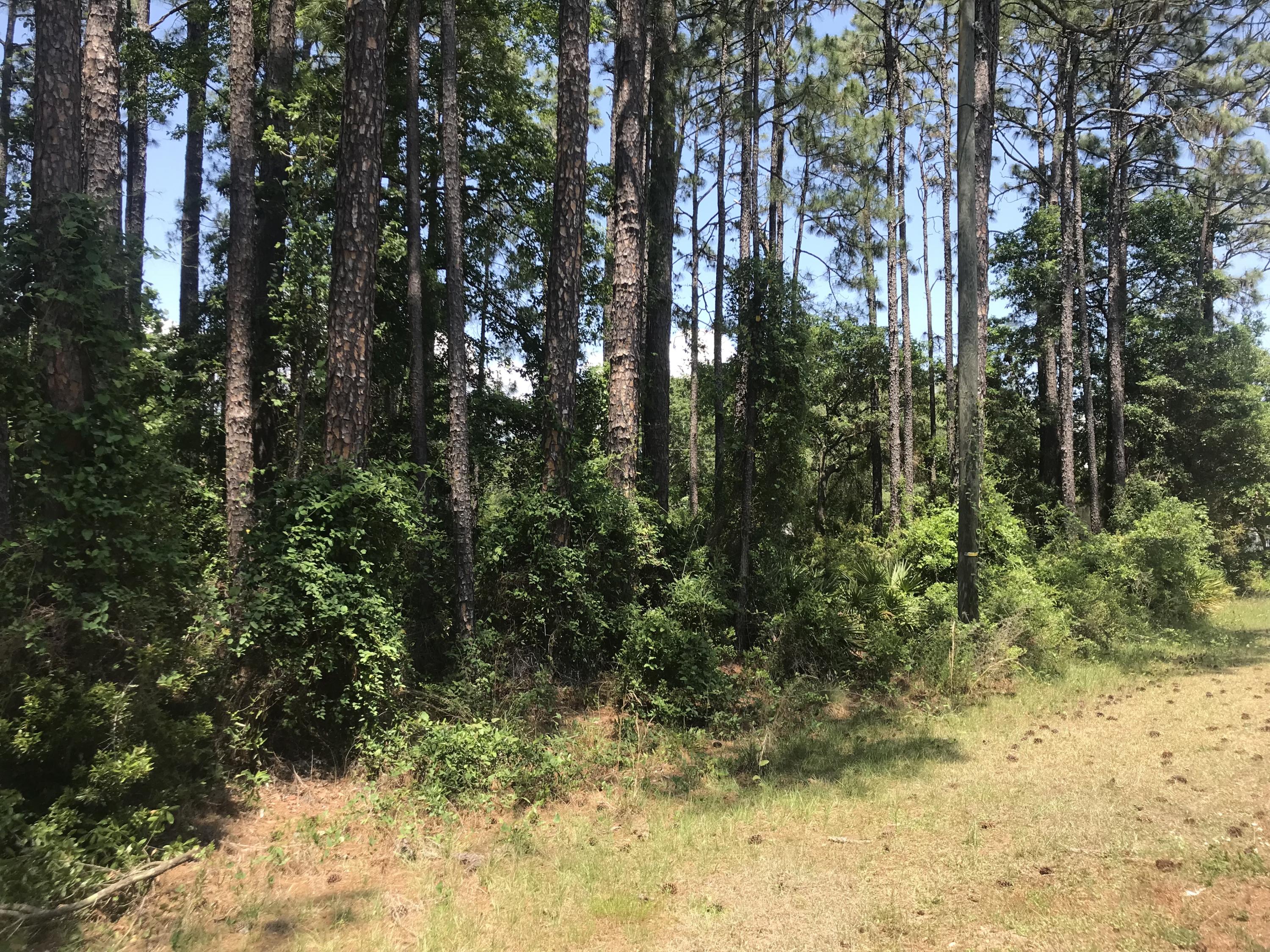 Fantastic corner lot with frontage on 2 sides. Can build new home with options for egress. Flat lot ready to go!