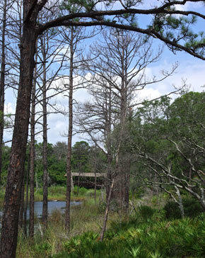 DRAPER LAKE COASTAL VILLAGE - Land