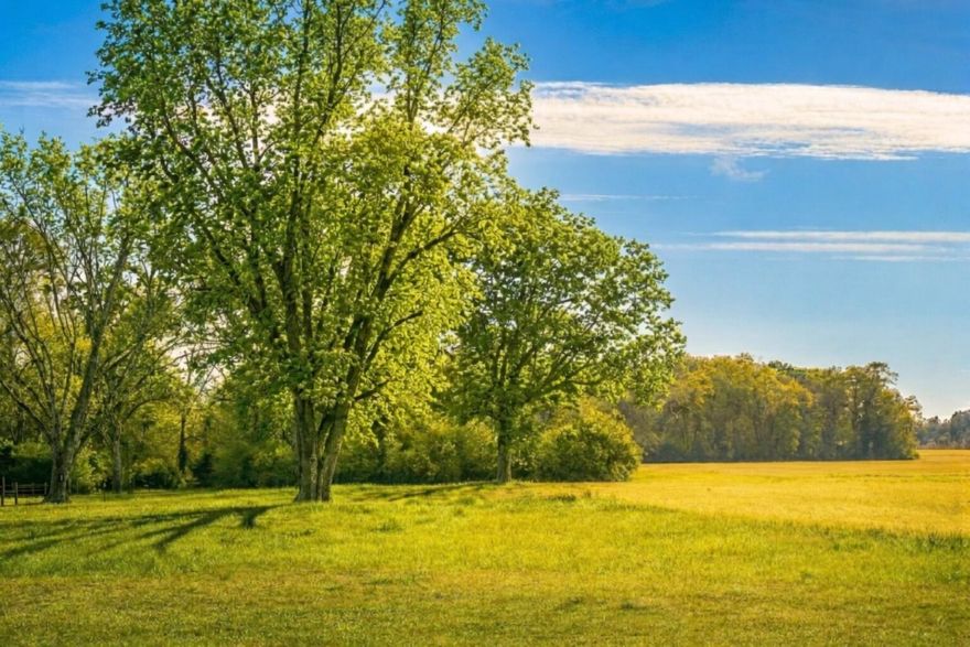 14.28+/- acres off Vinson Ray Road in Baker, Florida with a blend of open land and wooded surroundings. This parcel offers room for agricultural use, recreation, and enjoying the natural landscape. Baker is appreciated for its rural setting, local heritage, and larger tracts that reflect the character of Northwest Florida. The area is known for open skies, working farms, and a strong connection to the outdoors, making land like this appealing for those looking to enjoy space, flexibility, and the opportunity to shape a property to fit their vision. Whether held for future plans or enjoyed as a private getaway, this parcel offers a solid piece of Baker's countryside.