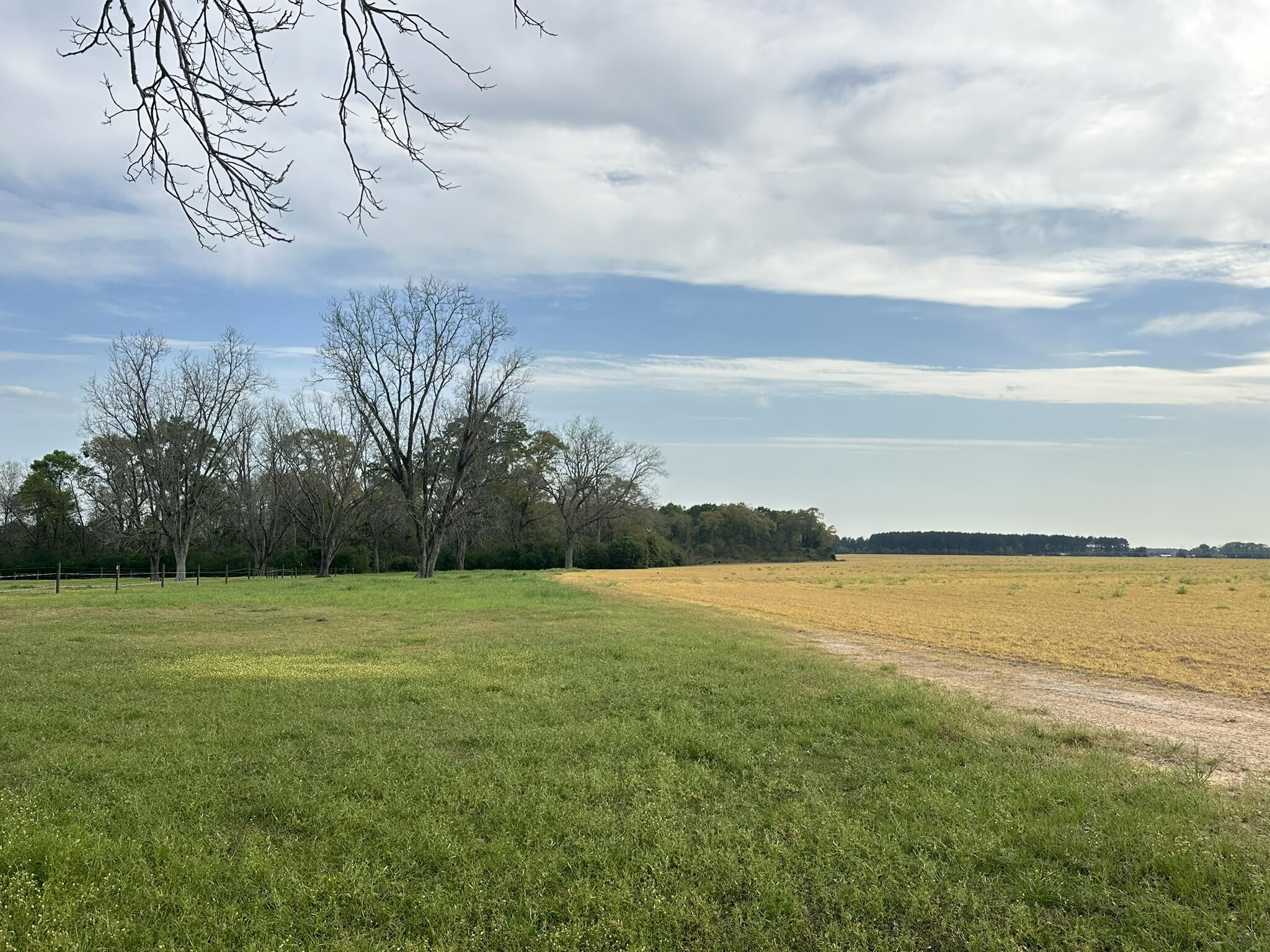 METES & BOUNDS - Land