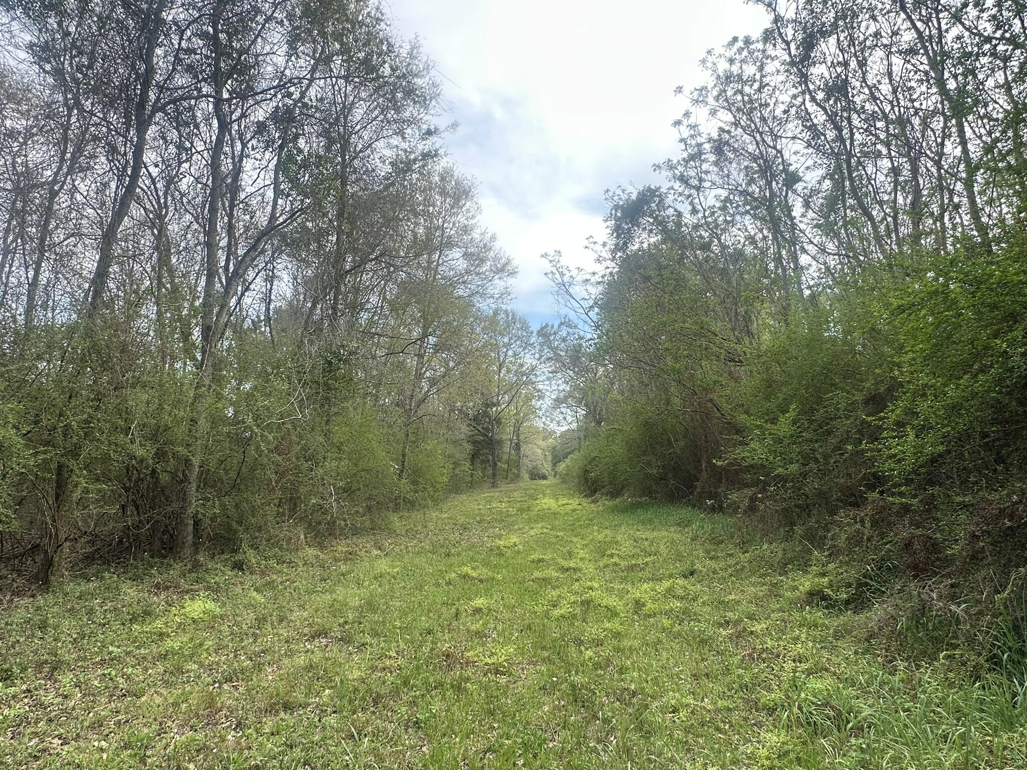 METES & BOUNDS - Land