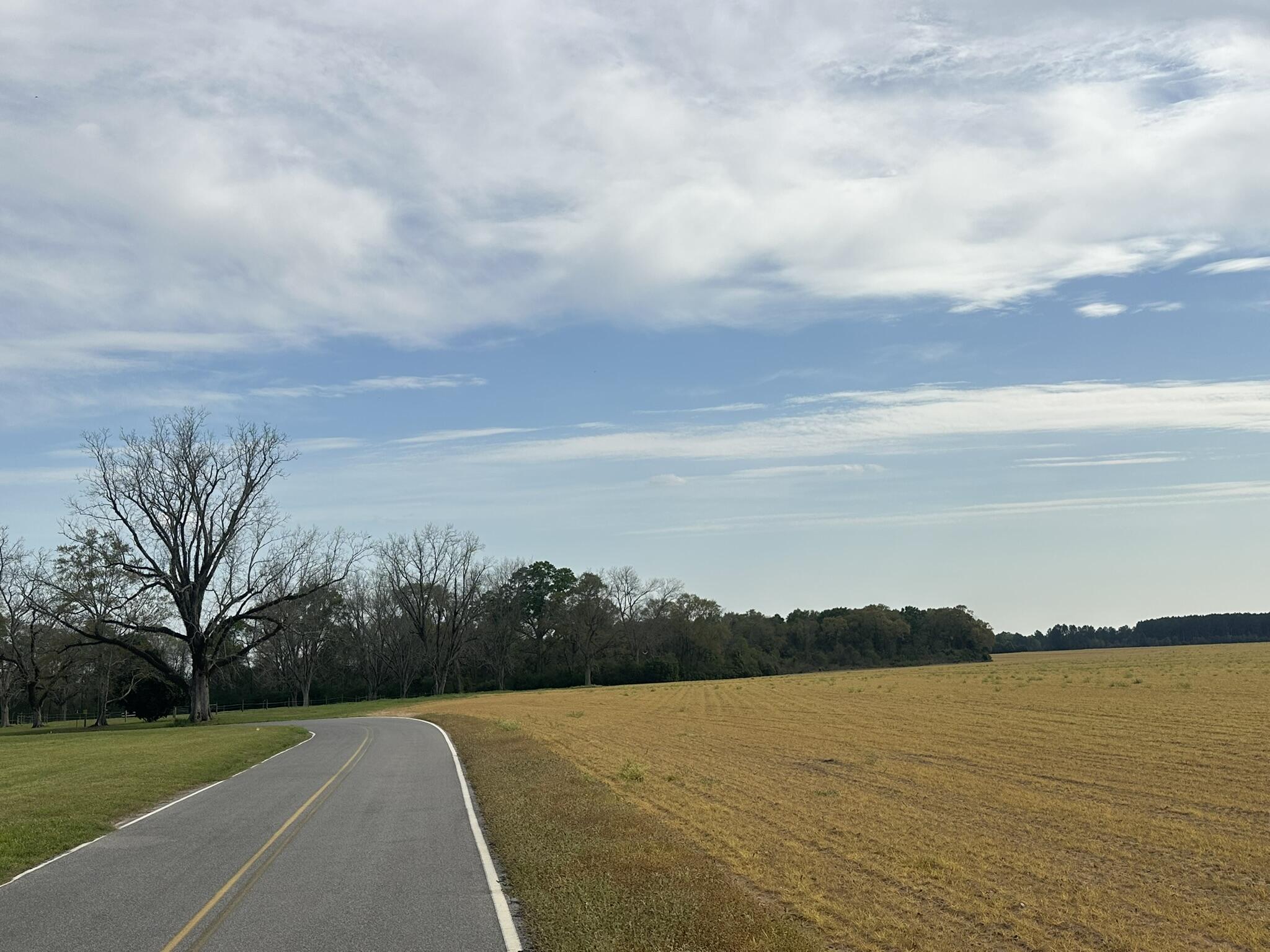 METES & BOUNDS - Land