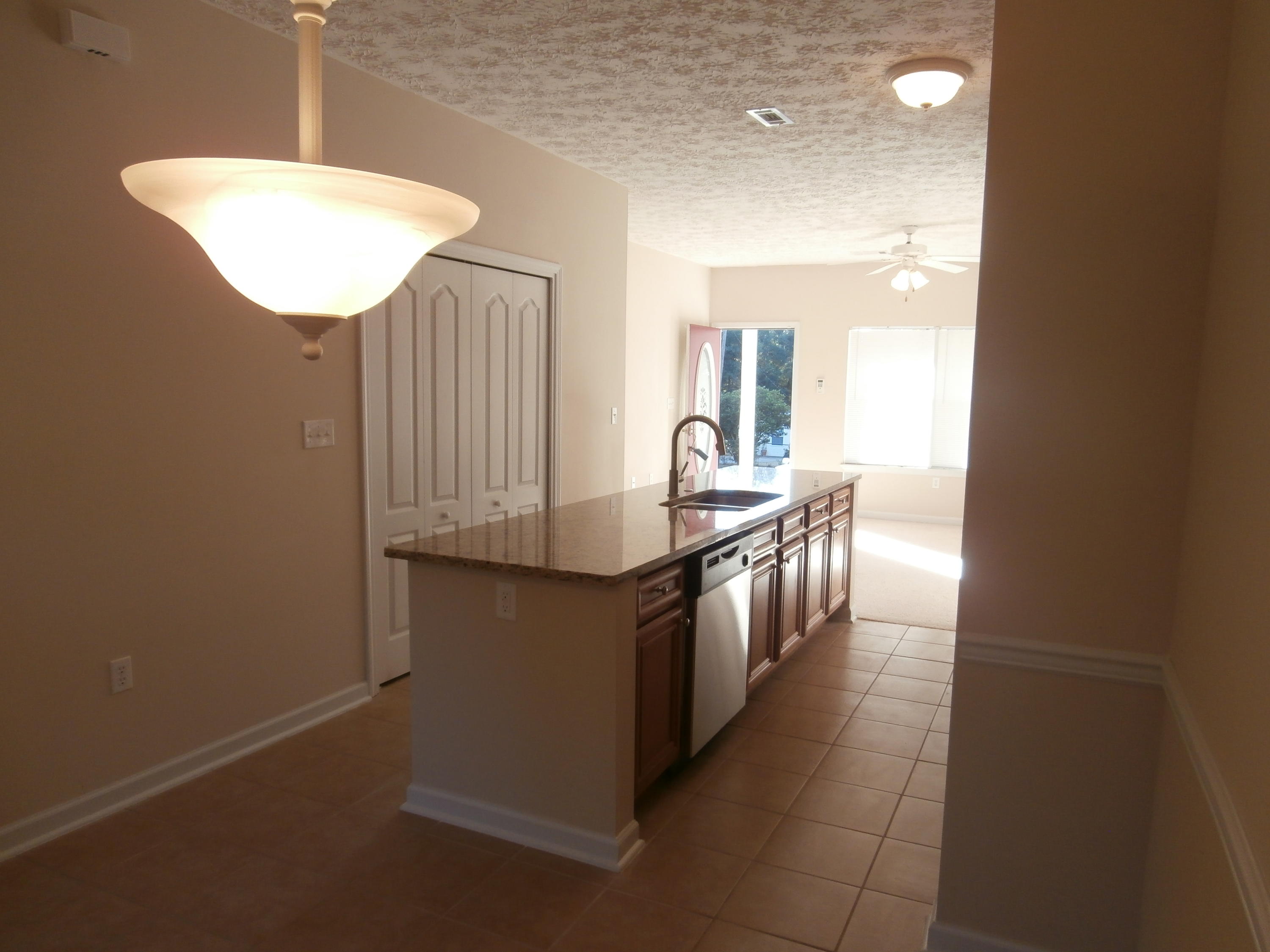 LAKE SILVER 1ST ADDN - Residential