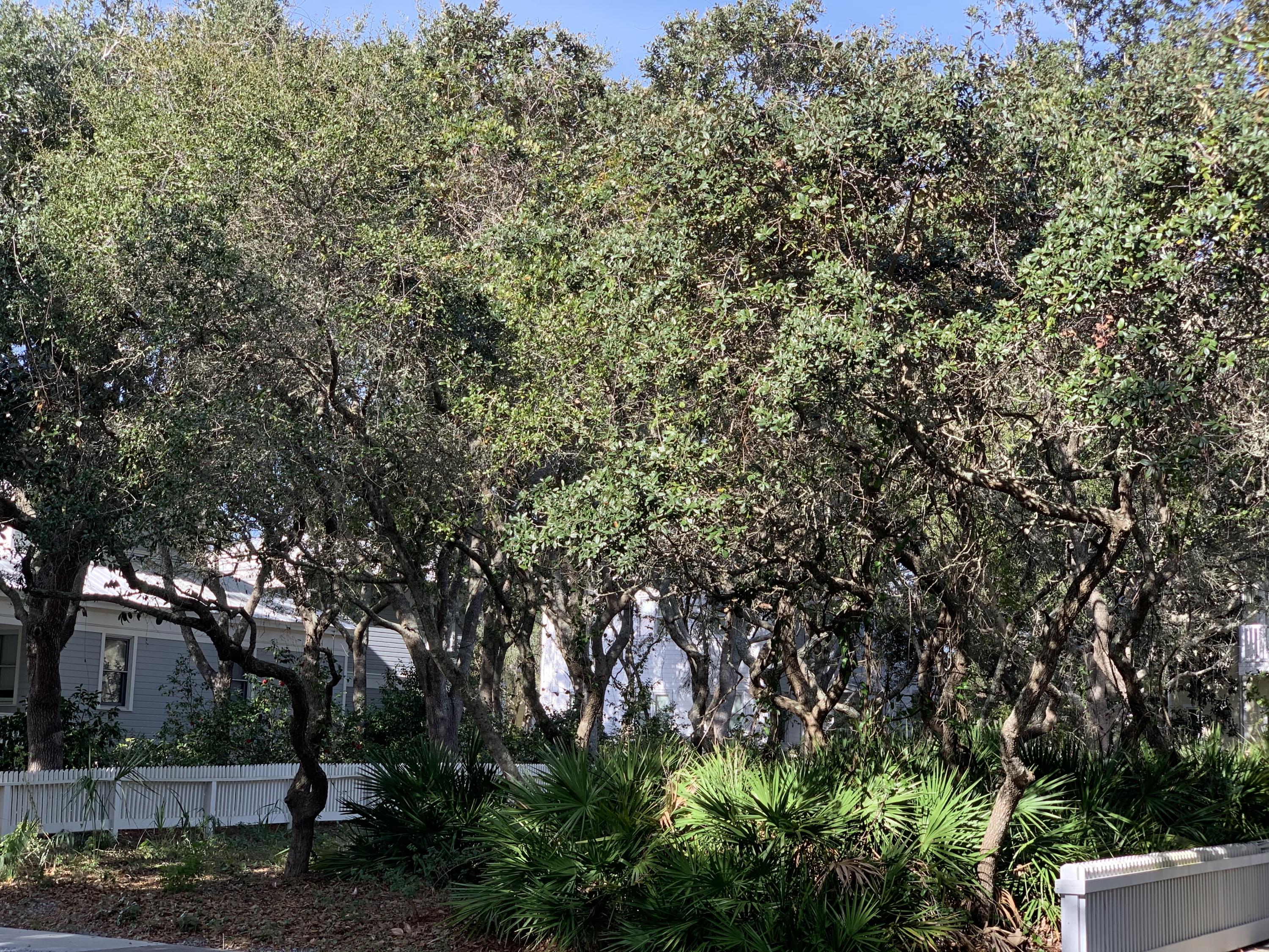 Carillon Beach - Land