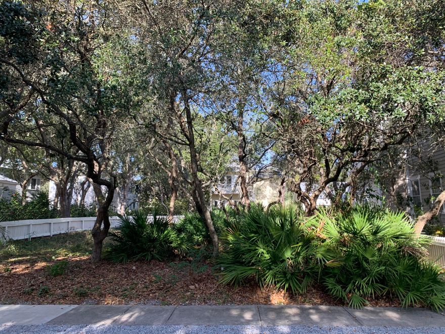 Beautiful lot adjacent to The Promenade and across the street from Lake Carillon, the Village Green, and The Meeting House. Only steps way from various beach walkovers and the Beach Club Pool. Private yet convenient to shops, dining, and ''Grooving on the Green'' concerts in the summer. This lot has been engineer tested and is ready build-ready. Don't let this amazing property pass you by.