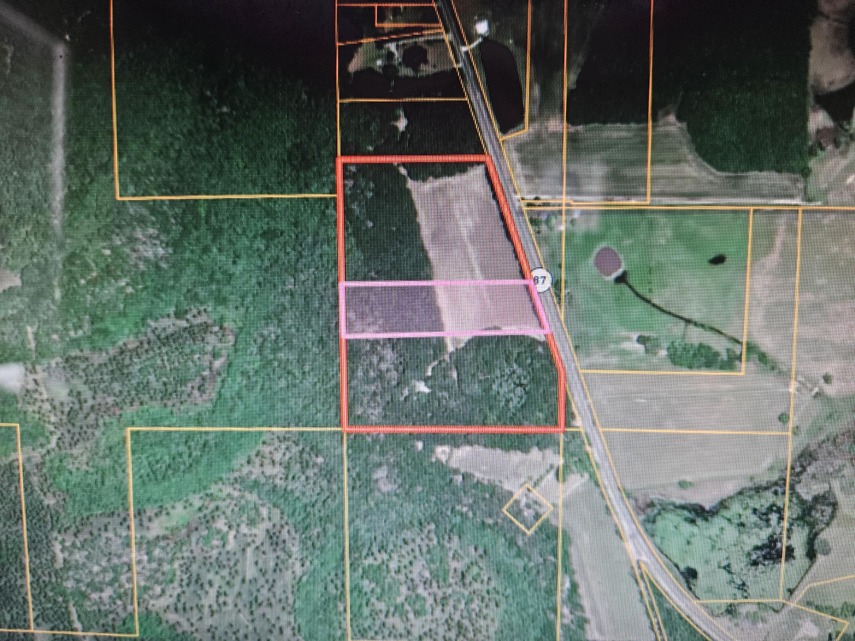8 acre parcel half pasture and half wooded - Located on S St Hwy 87 south of Samson, AL - Good homesite or small family farm.