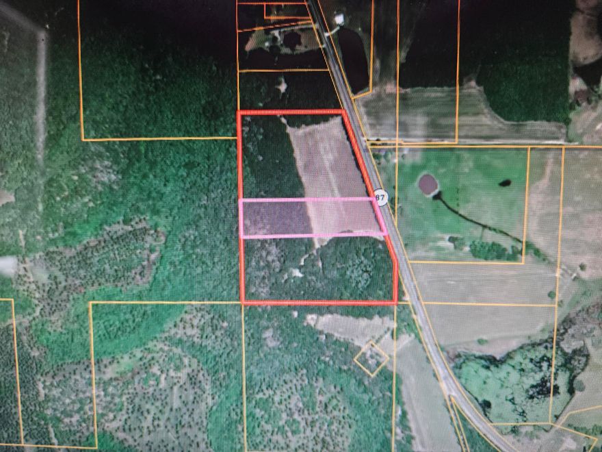 8 acre parcel half pasture and half wooded - Located on S St Hwy 87 south of Samson, AL - Good homesite or small family farm.