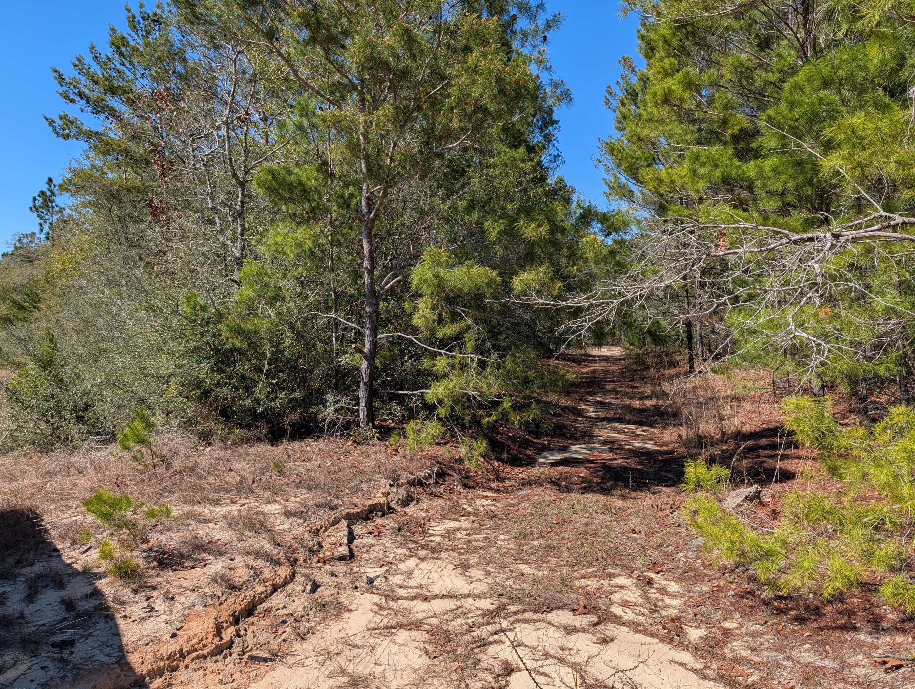 OAKWOOD HILLS UNIT 1 - Land